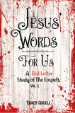 BIBLE STUDY: Jesus’ Words for Us – a red-letter study of the Gospels